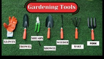 Praktiska stādīšana: svarīgi dārza instrumenti ikvienam dārzniekam