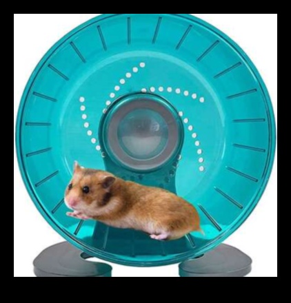 Kāmja riteņa alternatīvas: vingrojumu iespēju dažādošana