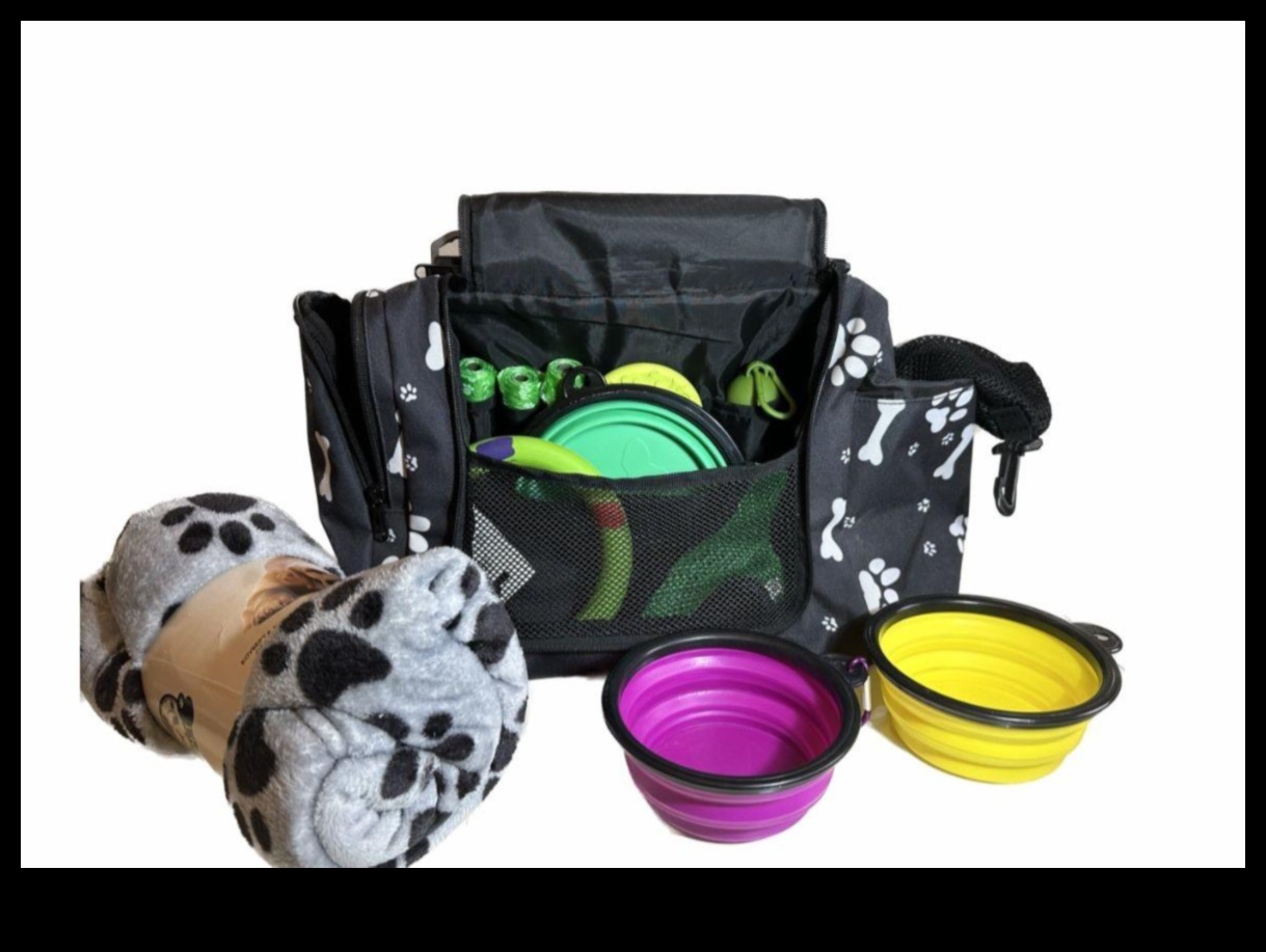 Piedzīvojums gaida: plānojiet suņiem draudzīgus ceļojumus