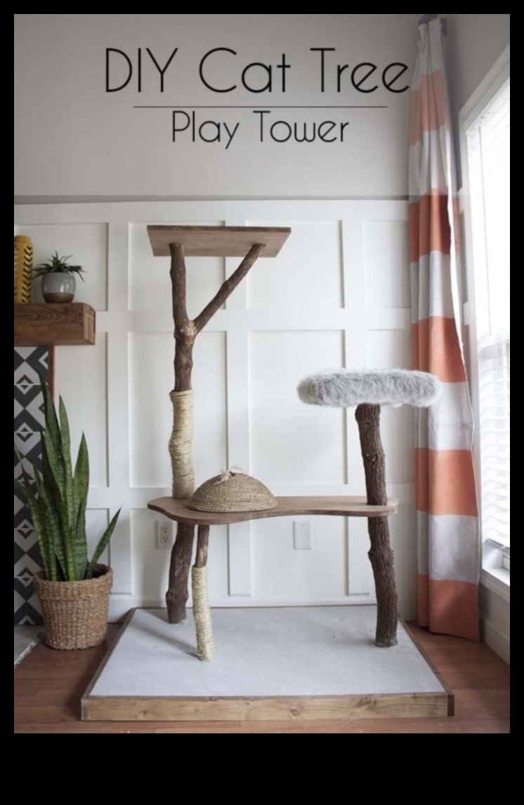 DIY kaķu mēbeles: skrāpējamo stabu un kāpšanas konstrukciju celtniecība