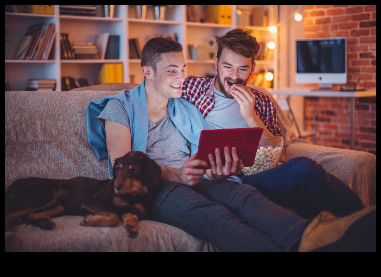 Suņu kino: filmu vakari jums un jūsu sunim
