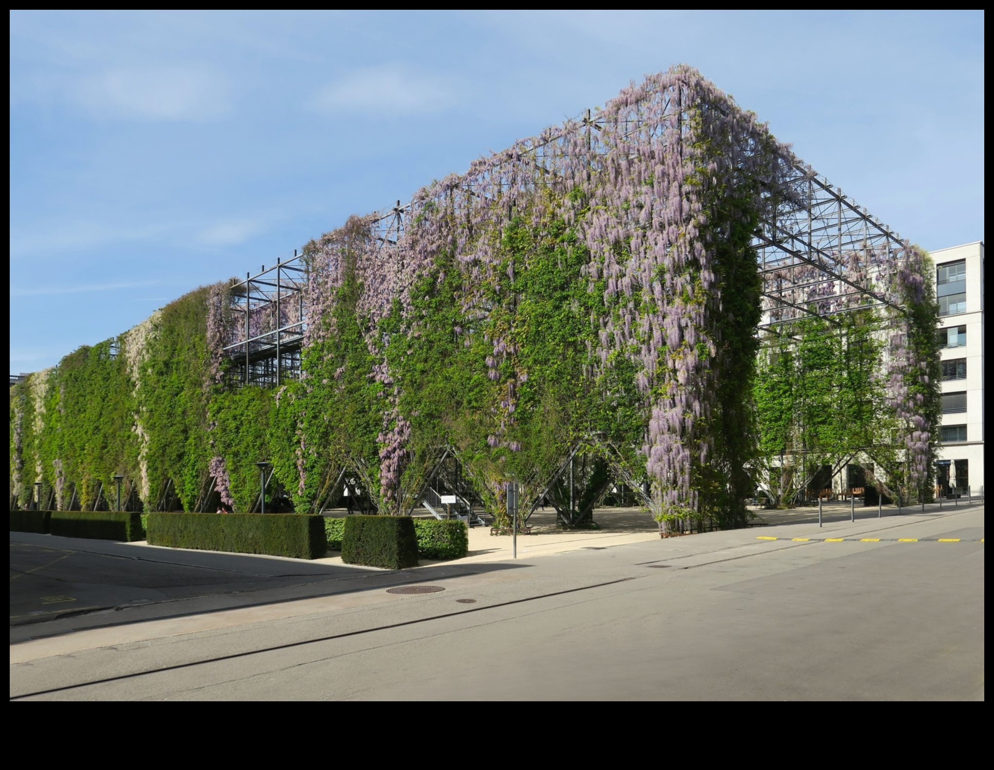 Ziedošie zīmējumi Pilsētas arhitektūras skaistuma tveršanā 3 Ziedēšanas zīmējumi: Pilsētas skaistuma tveršana arhitektūras brīnumos