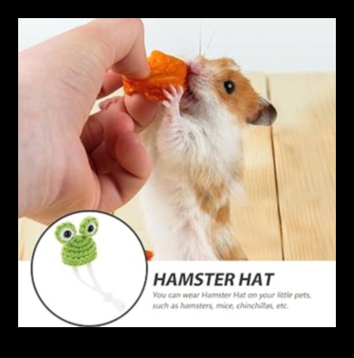 Eleganta šinšila: aprīkojiet savu mājdzīvnieku grauzēju stilā