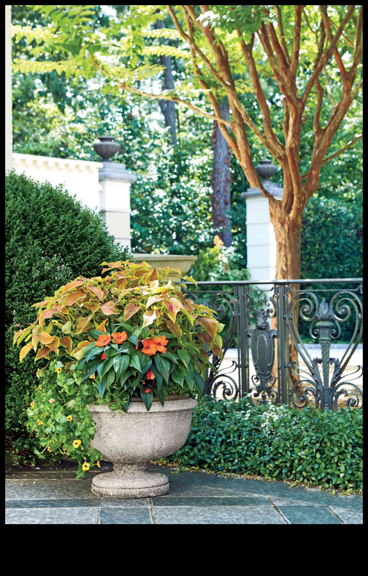 Krāsu audekls: piepildiet savu dārzu ar māksliniecisku noskaņu