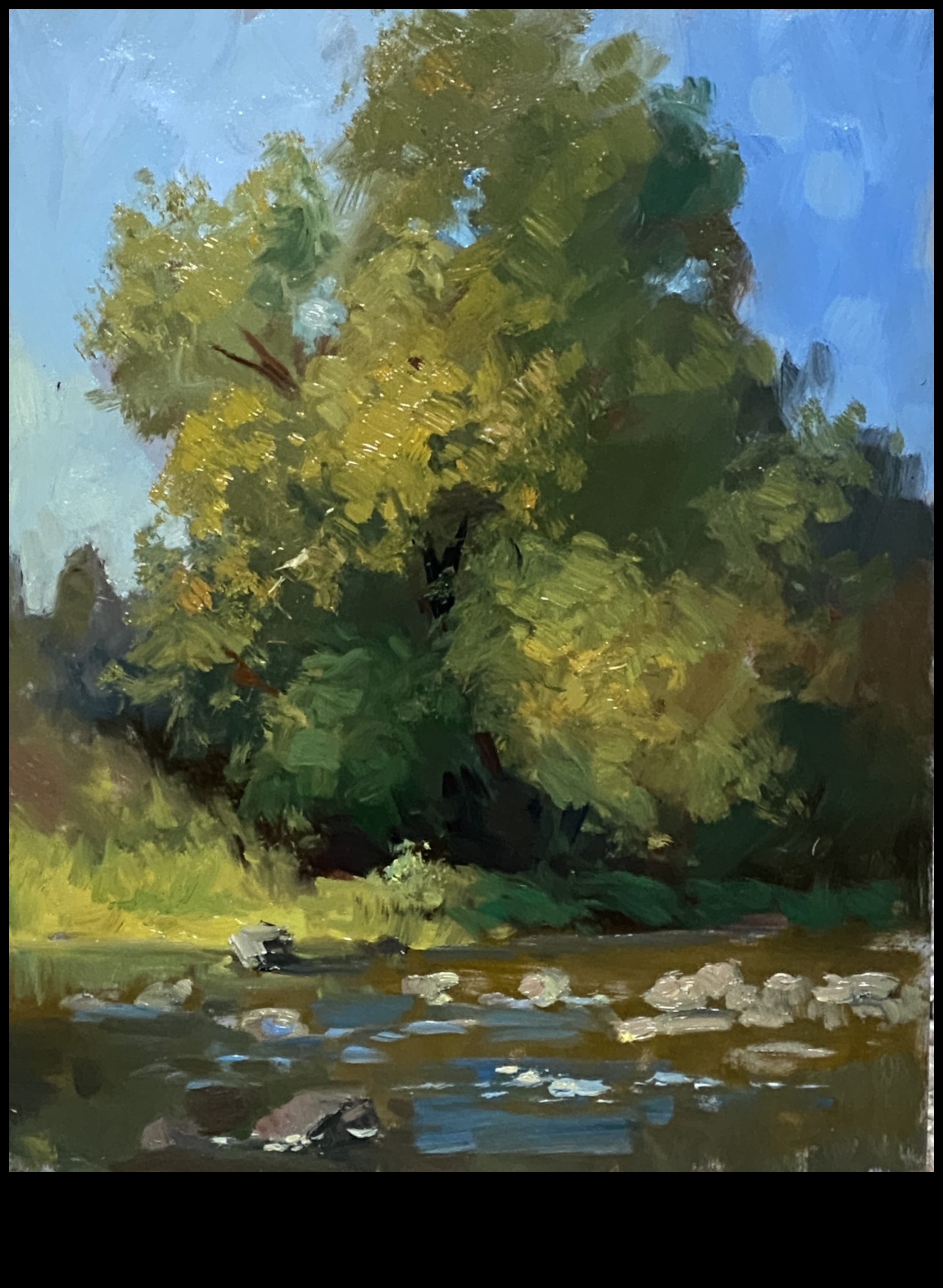 Dabas serenāde: mākslinieciskuma iepludināšana jūsu āra oāzē