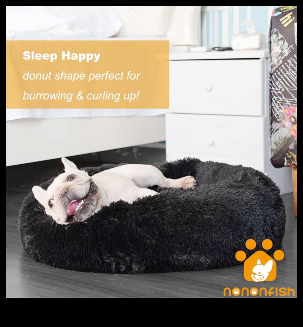 Doggy Dreamland: ērtas guļamvietas izveide