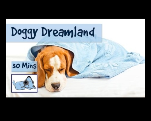 Doggy Dreamland: ērtas guļamvietas izveide