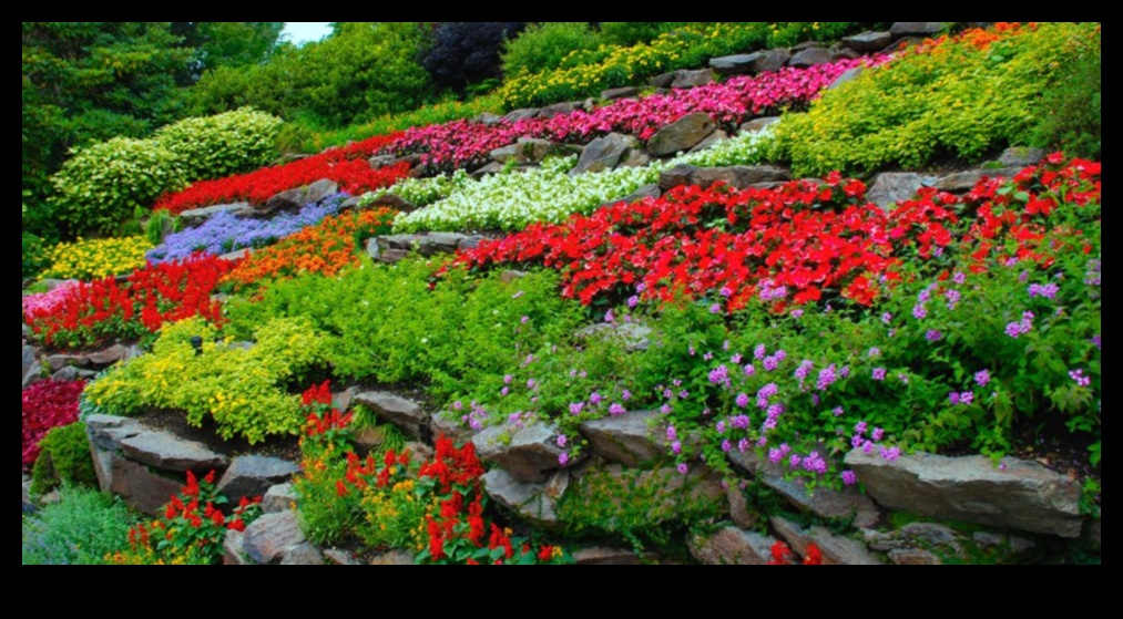 Sivēnmātes panākumi: DIY piedzīvojumi ziedošai ainavai