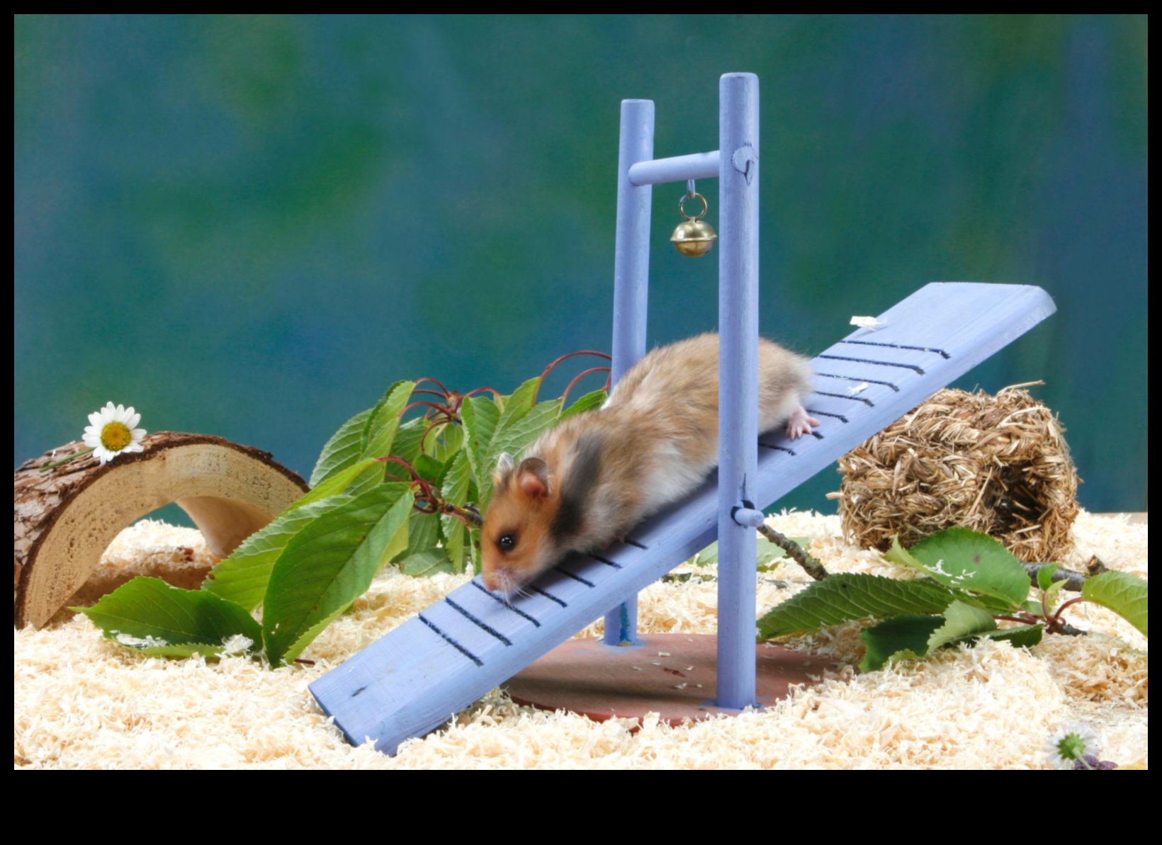 Saskaņots komforts: gultasveļas izvēle kāmja laimei