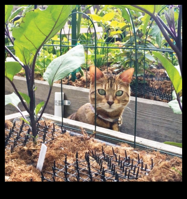 Kriteriju krīze? Risinājumi dārzam, kurā nav kaitēkļu