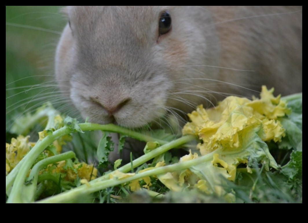 Kriteriju krīze? Risinājumi dārzam, kurā nav kaitēkļu
