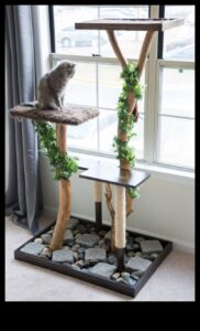 DIY kaķu mēbeles: skrāpējamo stabu un kāpšanas konstrukciju celtniecība