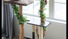 DIY kaķu mēbeles: skrāpējamo stabu un kāpšanas konstrukciju celtniecība