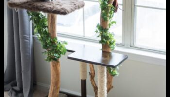 DIY kaķu mēbeles: skrāpējamo stabu un kāpšanas konstrukciju celtniecība