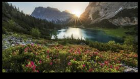 Dabas serenāde: mākslinieciskuma iepludināšana jūsu āra oāzē