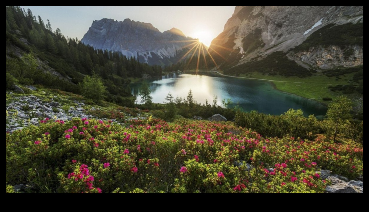 Dabas serenāde: mākslinieciskuma iepludināšana jūsu āra oāzē