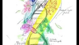 Projektēšana ietekmei uz veselību: māksla, kas atstāj noturīgu IT iespaidu par veselību