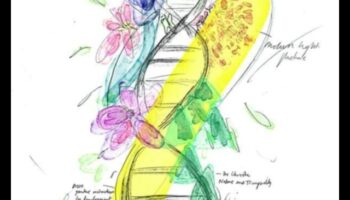 Projektēšana ietekmei uz veselību: māksla, kas atstāj noturīgu IT iespaidu par veselību