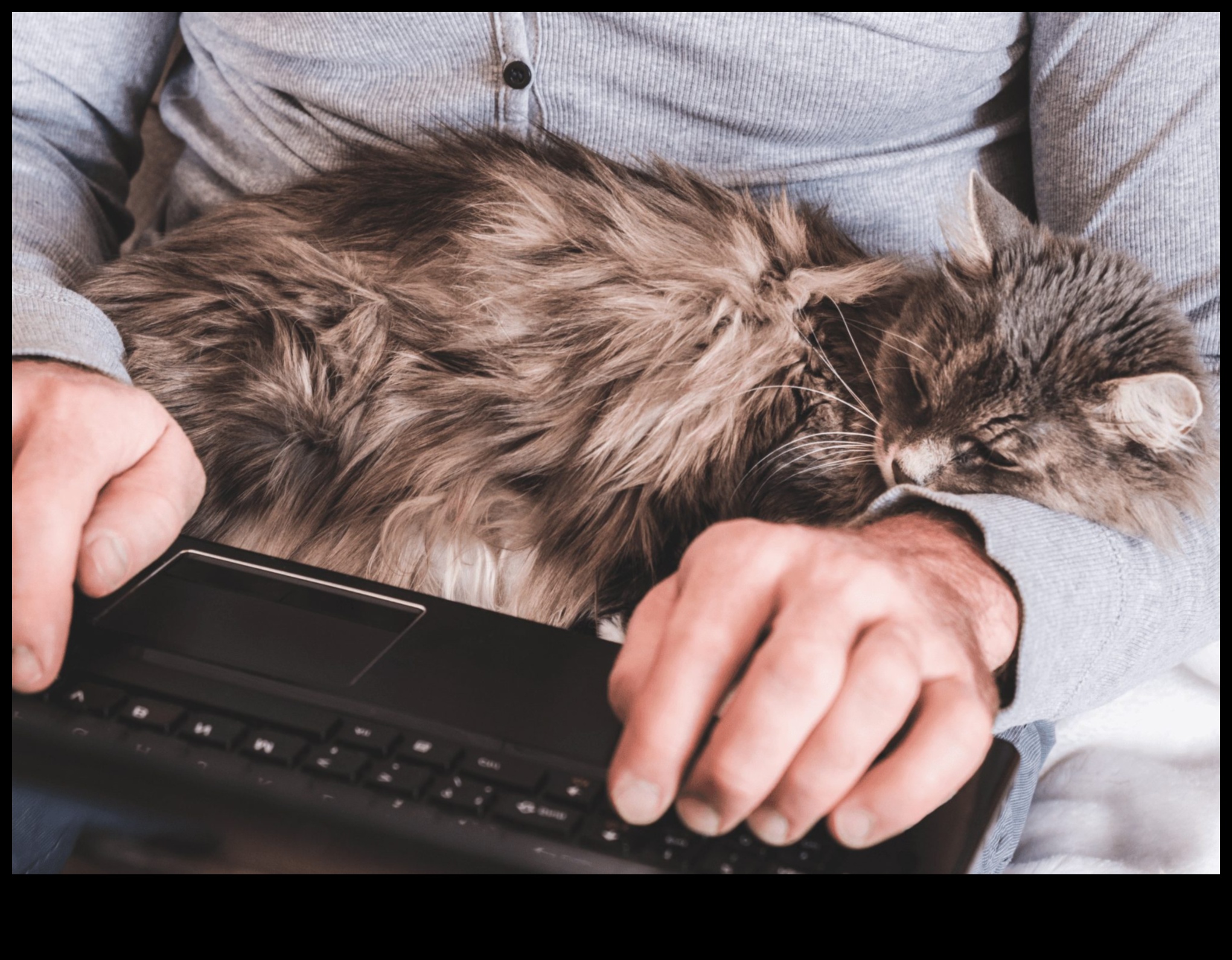 Kaķu saikne: Izpratne par starpsugu saitēm ar savu kaķi