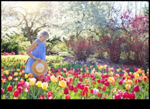 Krāsu audekls: piepildiet savu dārzu ar māksliniecisku noskaņu