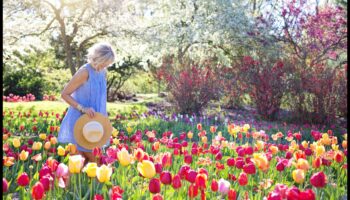 Krāsu audekls: piepildiet savu dārzu ar māksliniecisku noskaņu