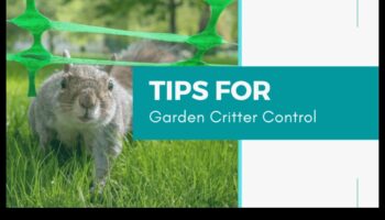 Kriteriju krīze? Risinājumi dārzam, kurā nav kaitēkļu