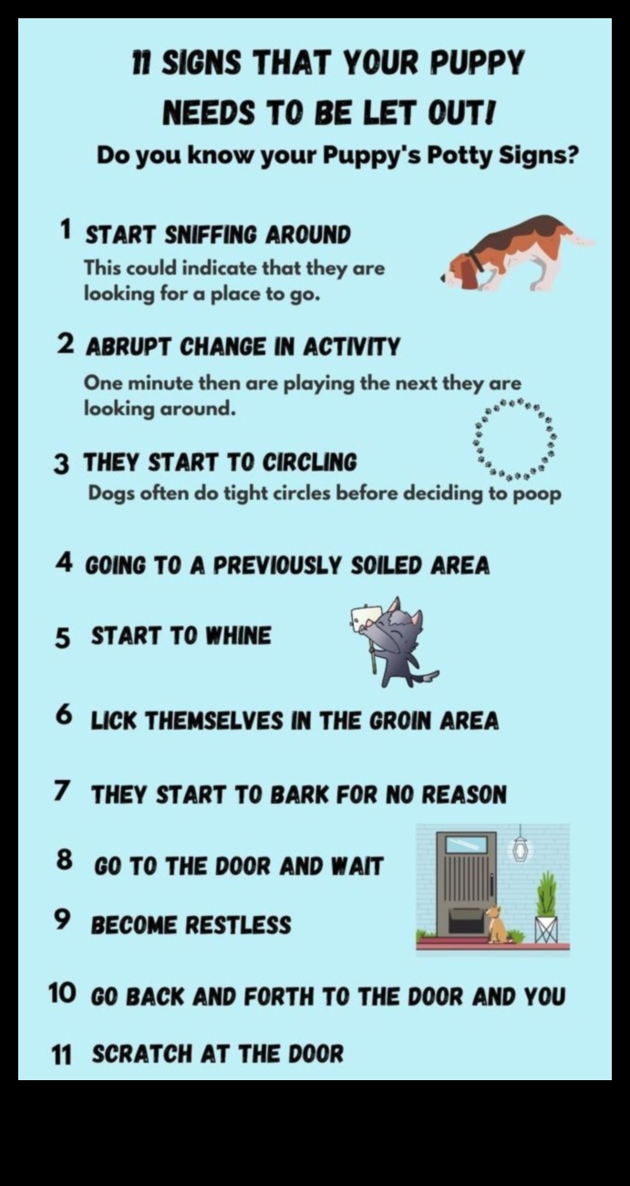 Kucēnu podiņmācība: efektīvi paņēmieni tīrai mājai