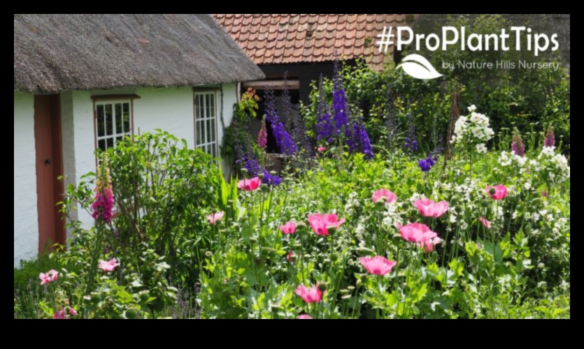 Pastorālie dārgakmeņi: ziedēšanas kopšana mājīgos kotedžu dārzos