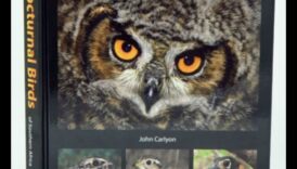 Nakts pūces ceļvedis nakts putniem