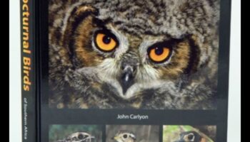 Nakts pūces ceļvedis nakts putniem