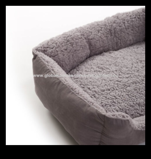 Doggy Dreamland: ērtas guļamvietas izveide