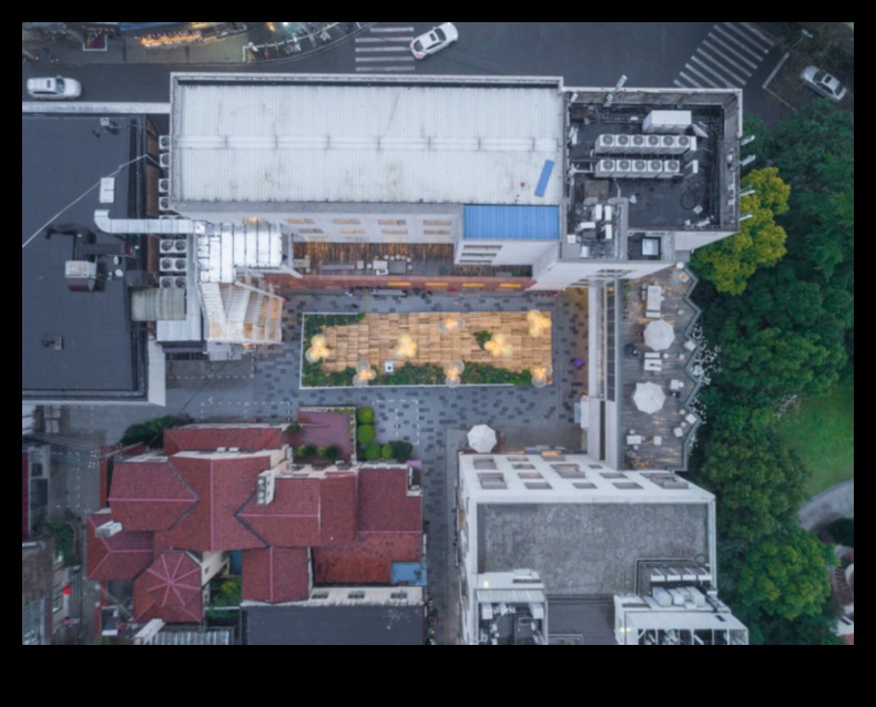 Ziedošie zīmējumi Pilsētas arhitektūras skaistuma tveršanā 1 Ziedēšanas zīmējumi: Pilsētas skaistuma tveršana arhitektūras brīnumos